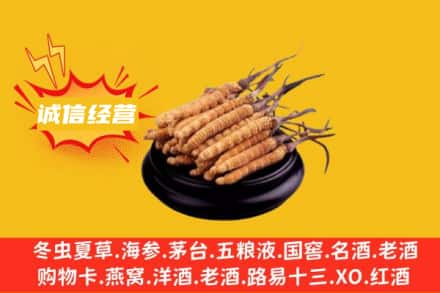 喀什地区莎车县回收冬虫夏草